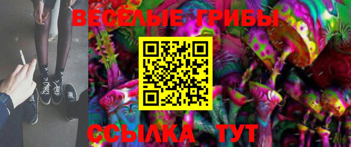 купить  цена  Вход с VPN  Саров  Псилоцибиновые грибы Psilocybe 